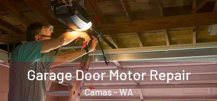  Garage Door Motor Repair Camas - WA