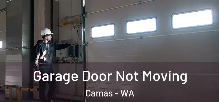  Garage Door Not Moving Camas - WA