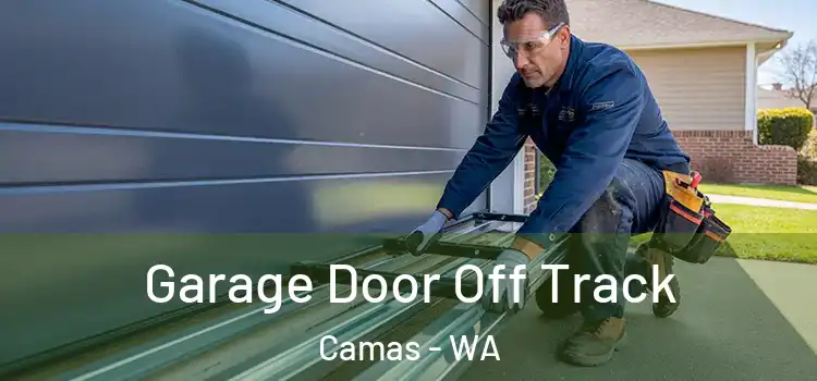  Garage Door Off Track Camas - WA