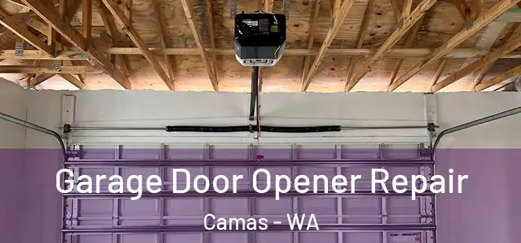  Garage Door Opener Repair Camas - WA