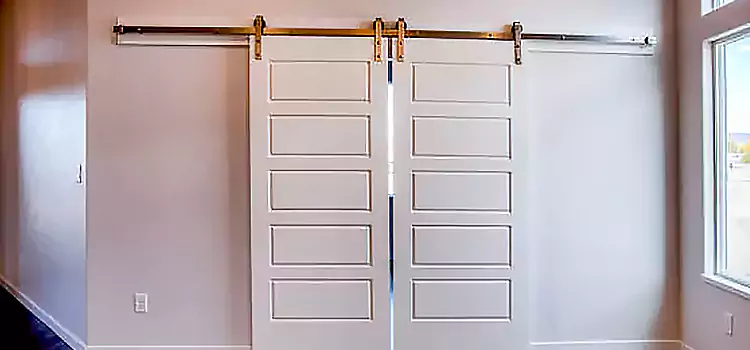 Glass Barn Door with Installation Hardware Kit Camas