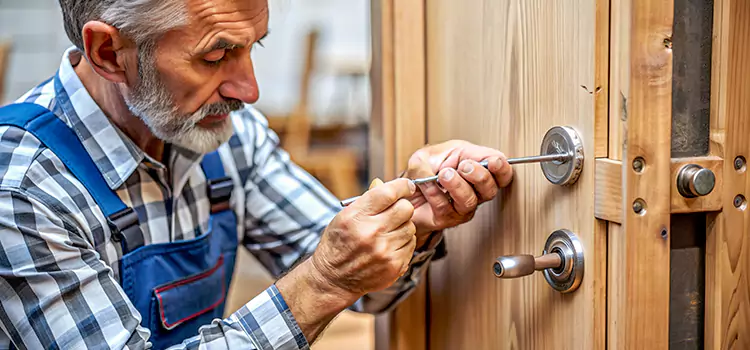 Mortise Replacement Lock Camas