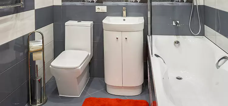 Hansgrohe Shaving Mirror Camas